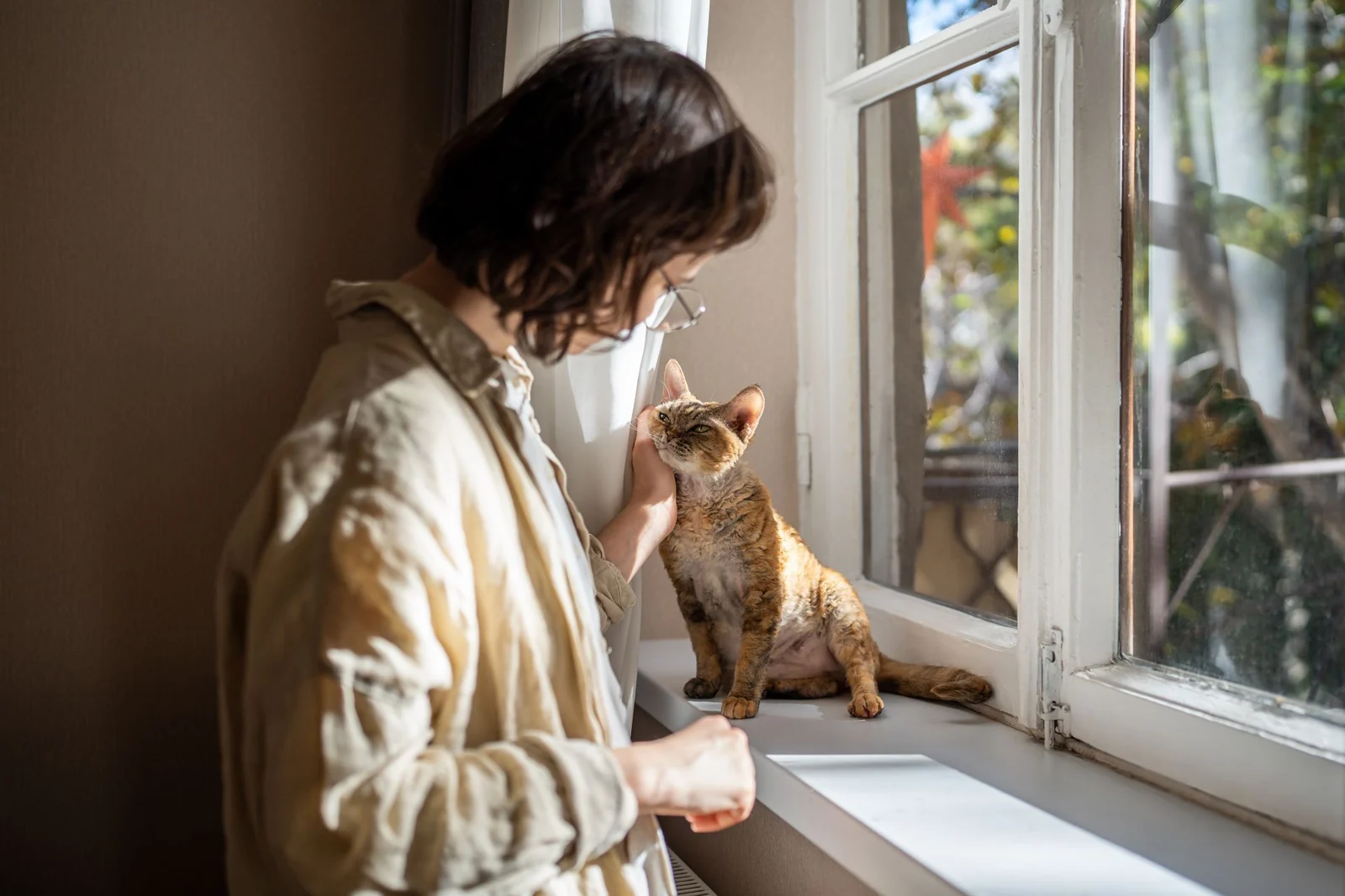 A cat enjoying gentle attention beside a sunny window